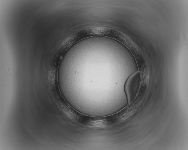 X0000116640505200912211006