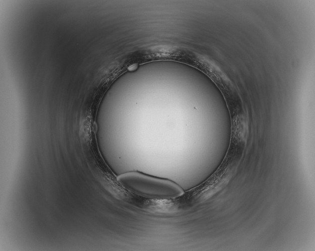 X0000116640509200912211006