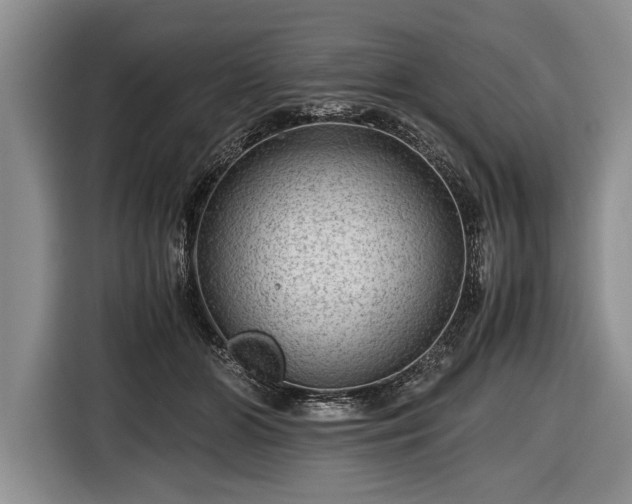 X0000116640510200912211006