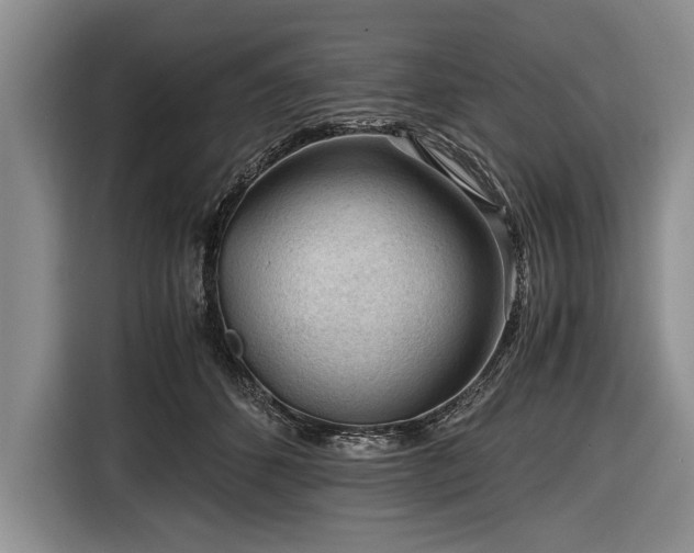 X0000116640512200912211006