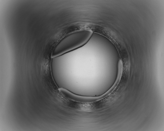 X0000116640513200912211006