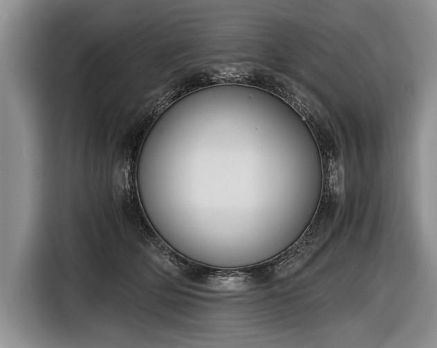 X0000116640514200912211006