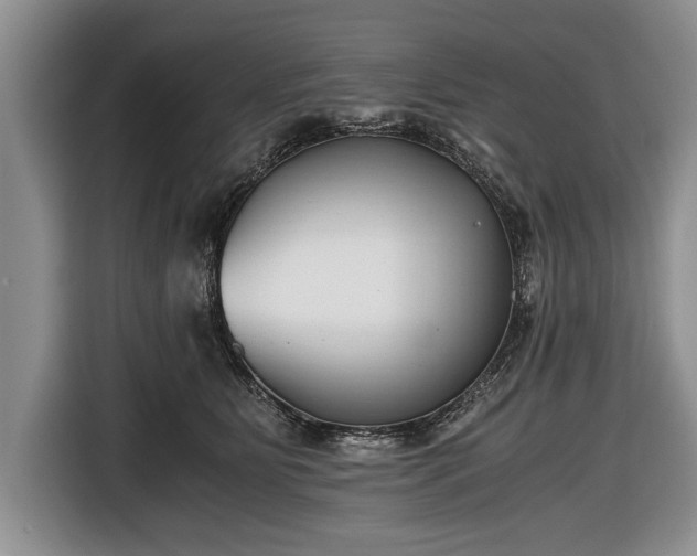 X0000116640515200912211006