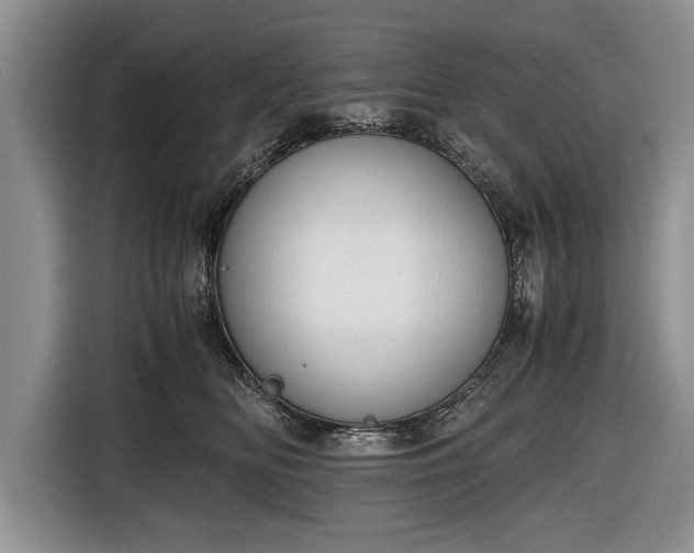 X0000116640518200912211006