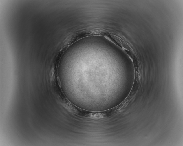 X0000116640520200912211006