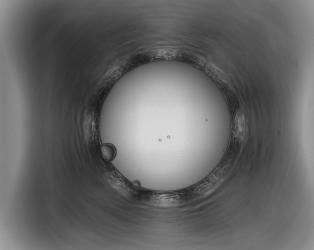 X0000116640522200912211006