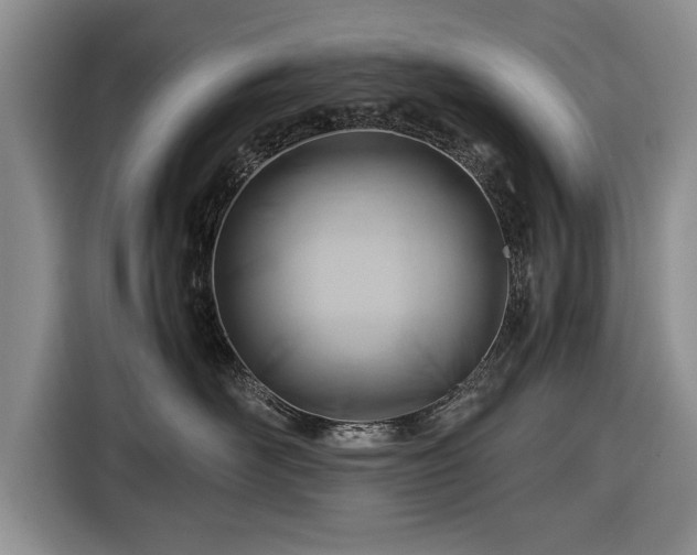 X0000116640526200912211006