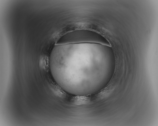 X0000116640528200912211006