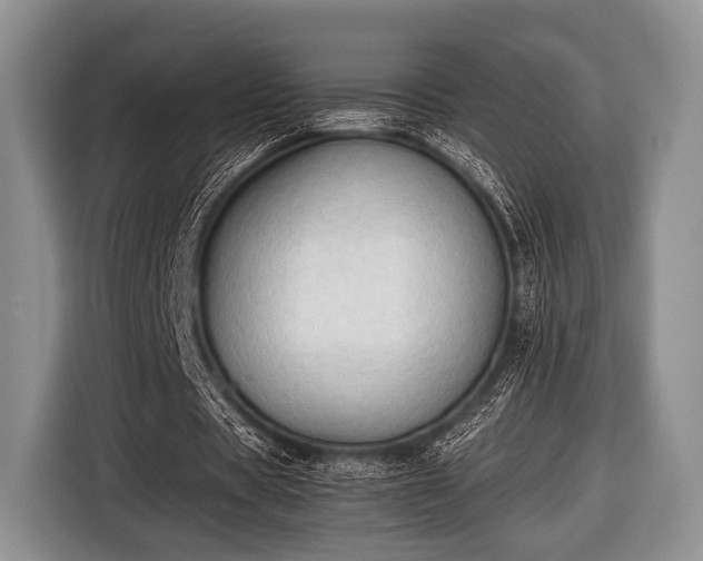 X0000116640529200912211005