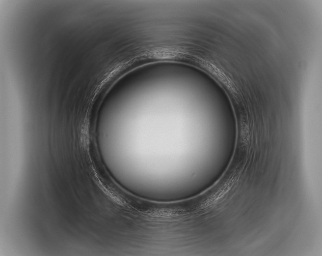 X0000116640530200912211005