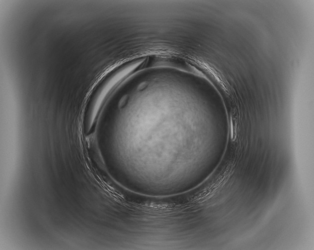 X0000116640531200912211005