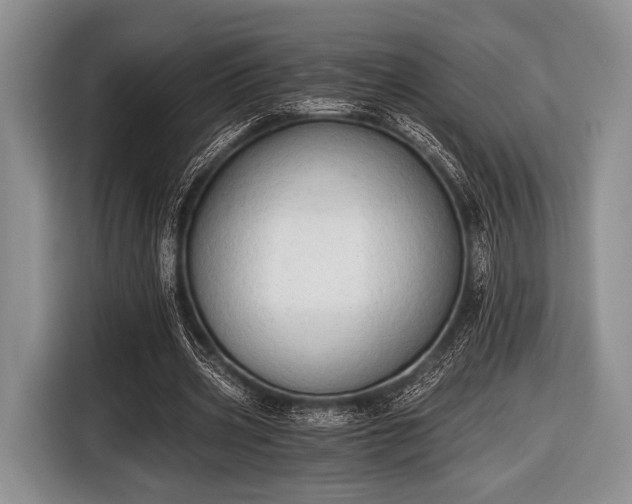 X0000116640533200912211005