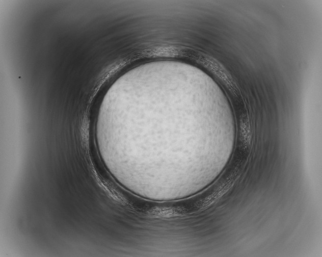 X0000116640534200912211005