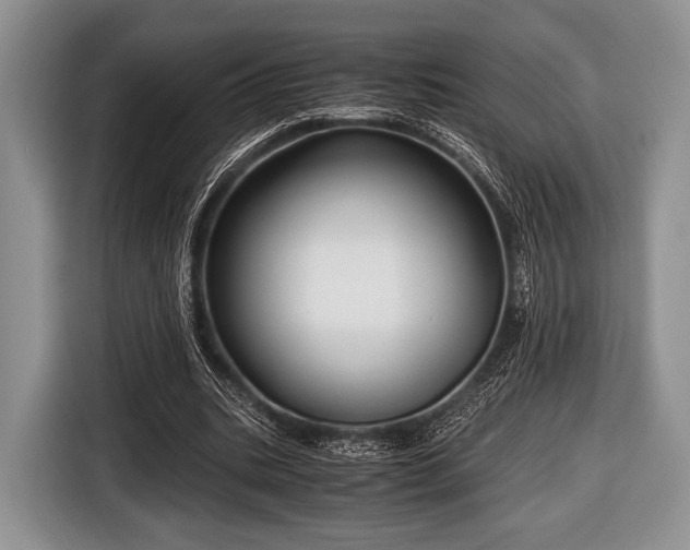 X0000116640535200912211005