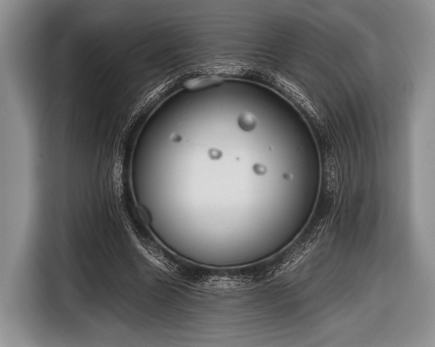 X0000116640538200912211005