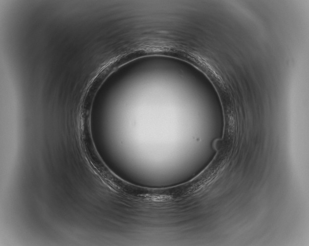 X0000116640539200912211005