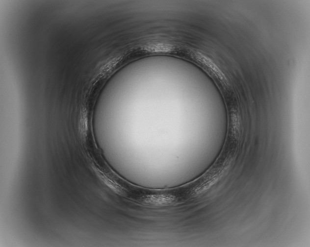 X0000116640541200912211005