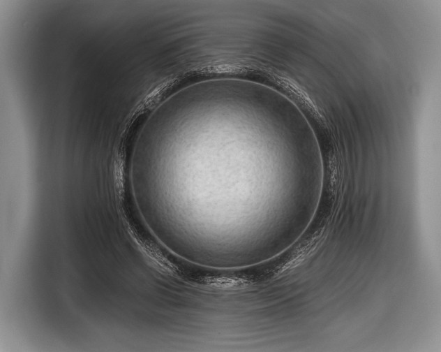 X0000116640542200912211005