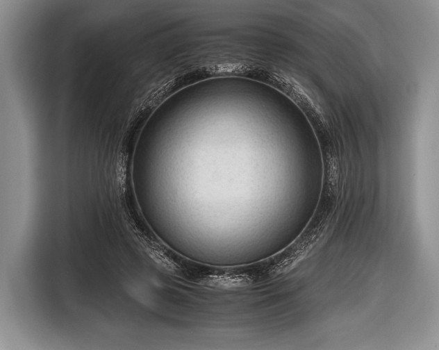 X0000116640545200912211005