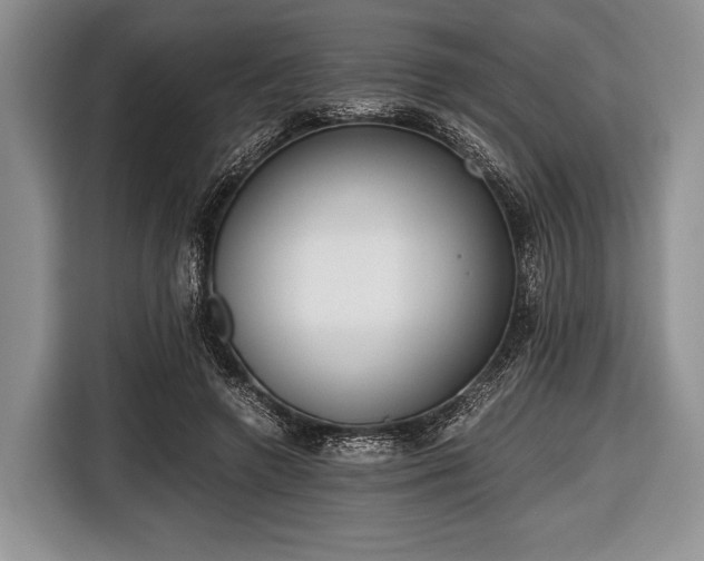 X0000116640546200912211005