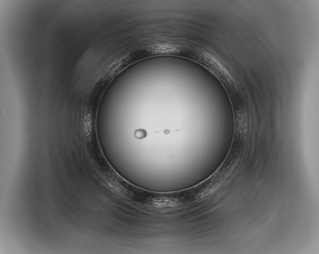 X0000116640549200912211005