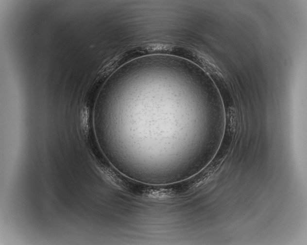 X0000116640550200912211005