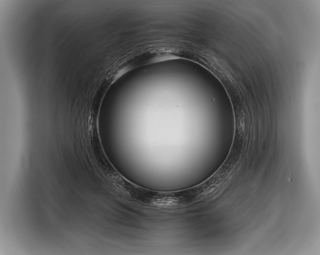 X0000116640551200912211005