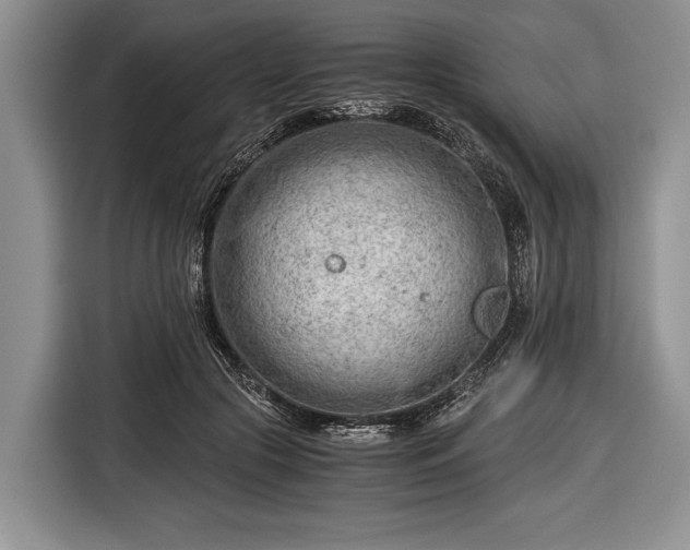 X0000116640553200912211005