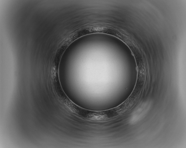 X0000116640555200912211006