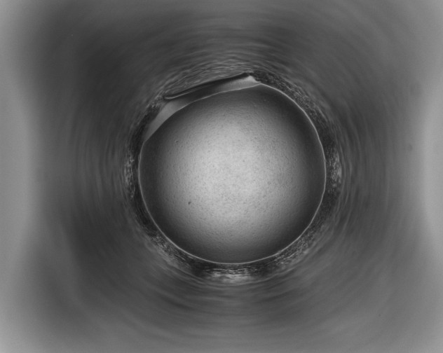 X0000116640559200912211006