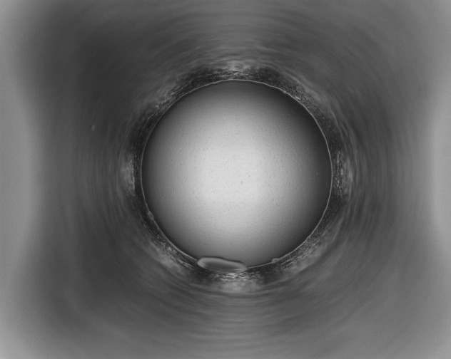 X0000116640562200912211006