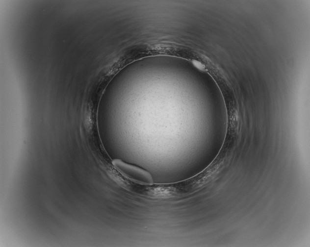 X0000116640566200912211006