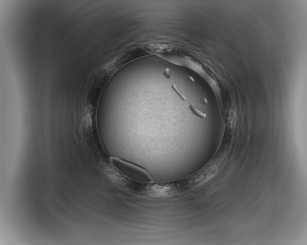 X0000116640570200912211006