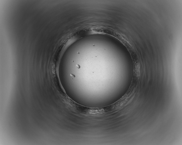 X0000116640571200912211006