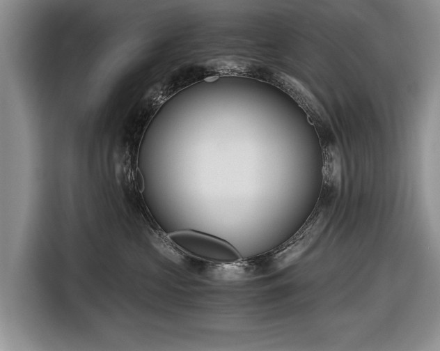 X0000116640573200912211006