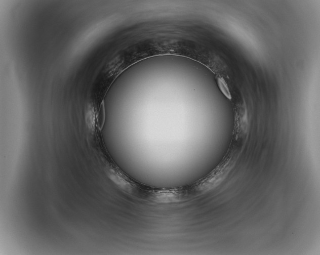 X0000116640574200912211006