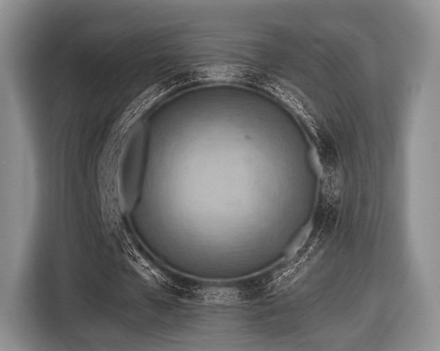 X0000116640577200912211005