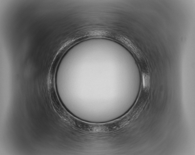 X0000116640579200912211005