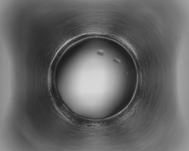 X0000116640580200912211005