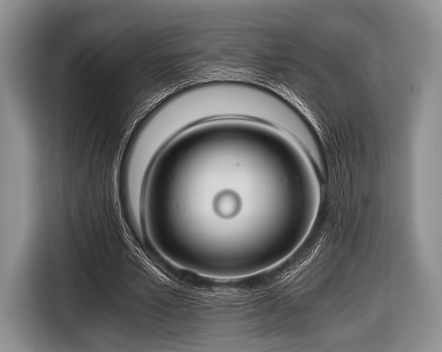 X0000116640581200912211005