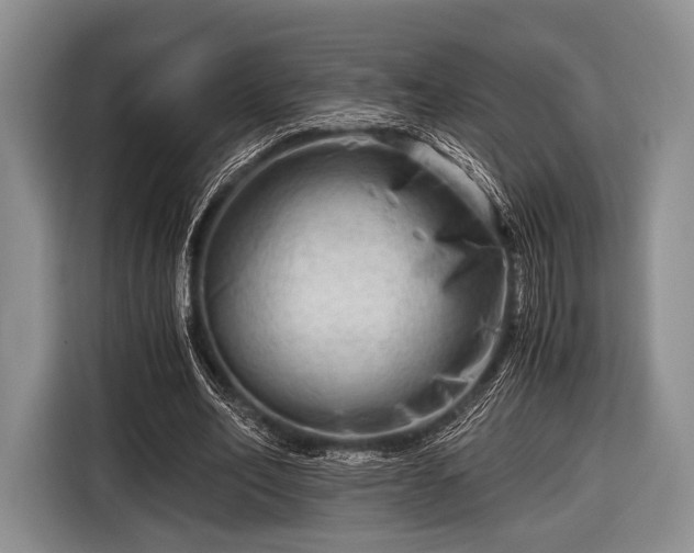 X0000116640582200912211005