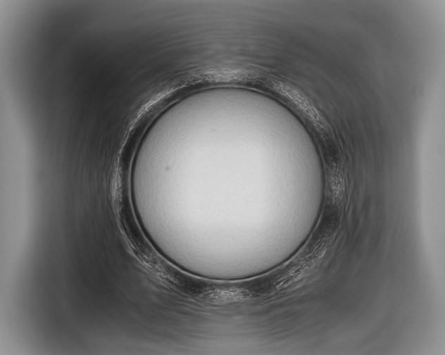 X0000116640583200912211005