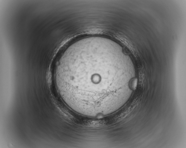 X0000116640584200912211005