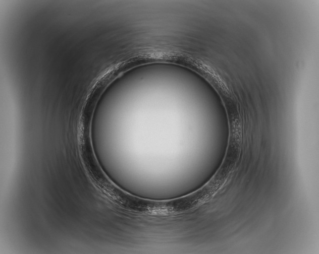 X0000116640587200912211005