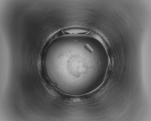 X0000116640588200912211005