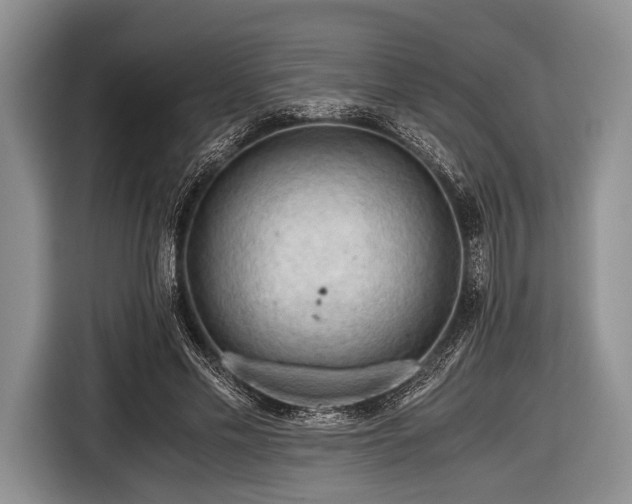 X0000116640589200912211005