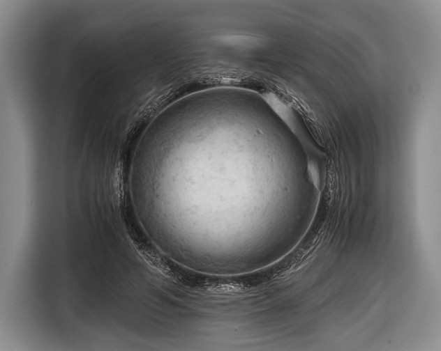 X0000116640594200912211005