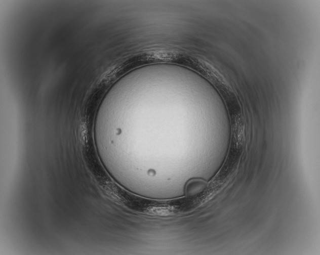 X0000116640595200912211005