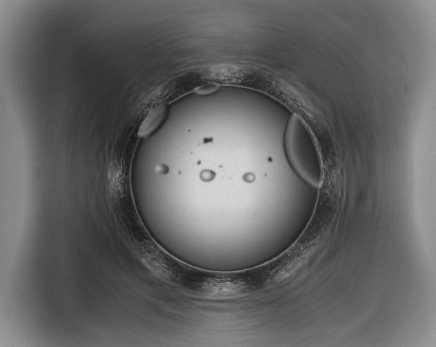 X0000116640597200912211005