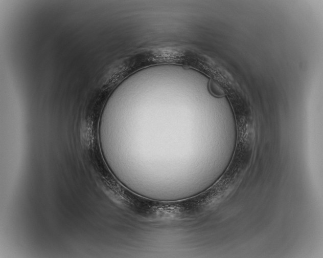 X0000116640599200912211005